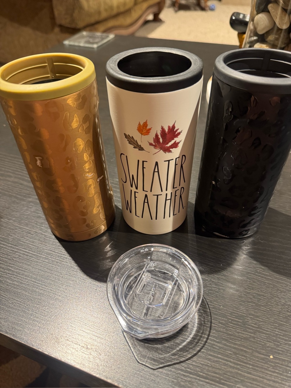Brumate & Rae Dunn Slim Can Coozies - set of 3 + extra Brumate lid - Fall Set